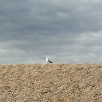 You Will Understand It, When You Come Alone | Eric Dickson